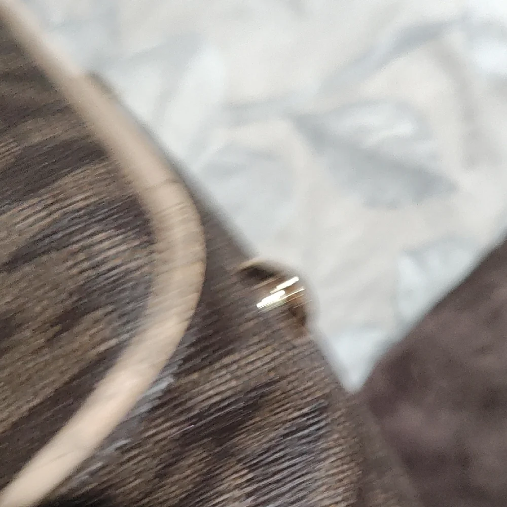 Michael Kors Brown Purse.